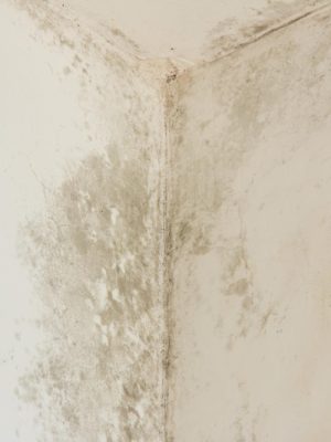 again dirty wall not looking good should be reported